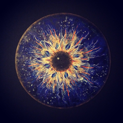 SANATLA 7/24