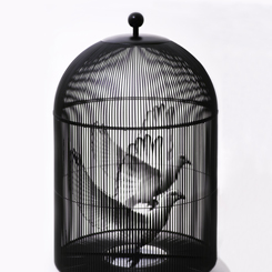 Tasarım Kolektifi True Treu, Venice Design 2017’de