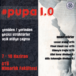 Pupa 1.0