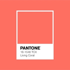 Pantone 2019 Rengi: “Living Coral”