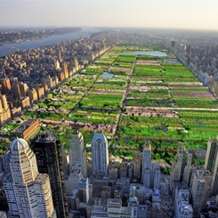 Erdem Mimarlar Central Park Yenileme Yarışmasında Finalde
