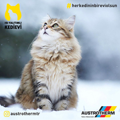 Türkiye’nin İlk Isı Yalıtımlı Kedi Evi