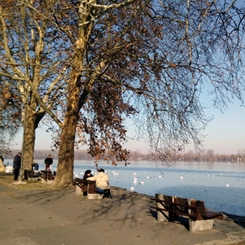 Işık Kent Belgrad 