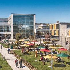 Özyeğin Üniversitesi “GreenMetric 2019 Sıralaması”nda Dereceye Girdi