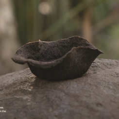 Pirina Projesi