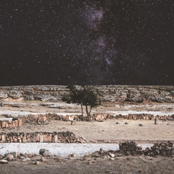 Artweeks@Akaretler Başlıyor