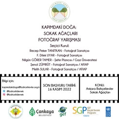 Kapımdaki Doğa; Bahçelievler Sokak Ağaçları
