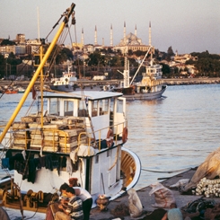 Kıyının Hafızası