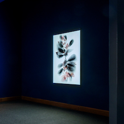 Sakıp Sabancı Müzesi’nin Koleksiyonlarına Yeni Bir Eser