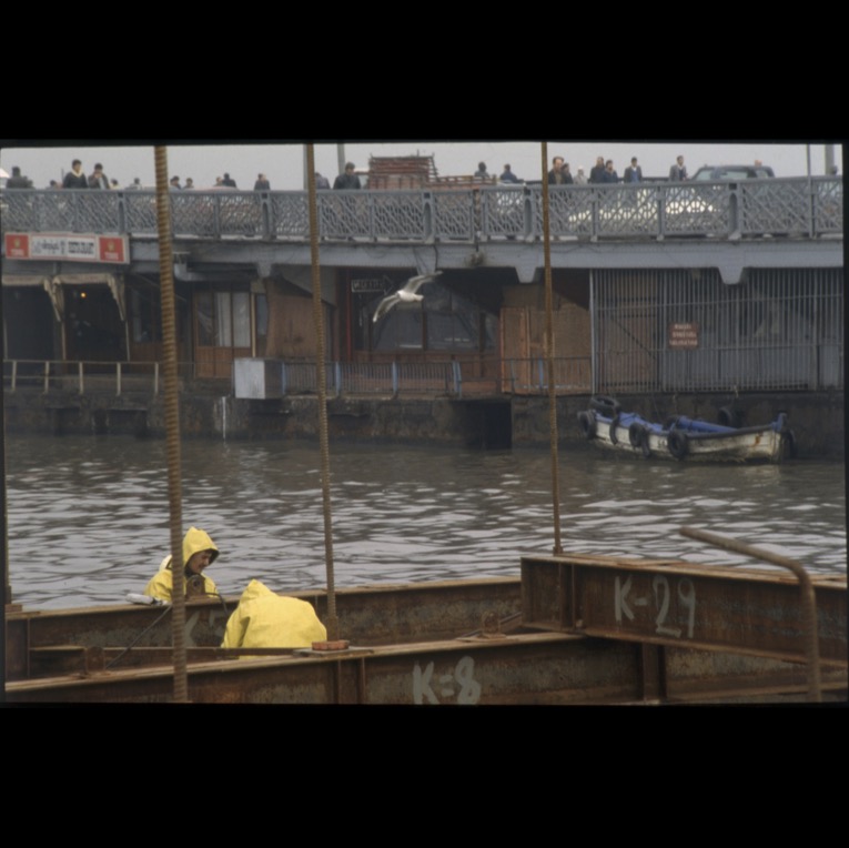Salt Araştırma Yıldız Çelik Arşivi