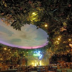 Rainforest Cafe