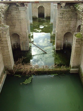 image desc