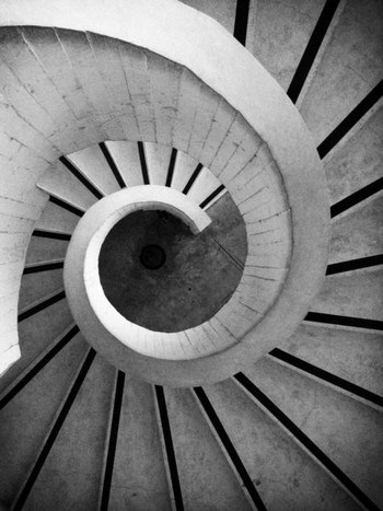 Carlos Eduardo Ramos / Architectural spiral