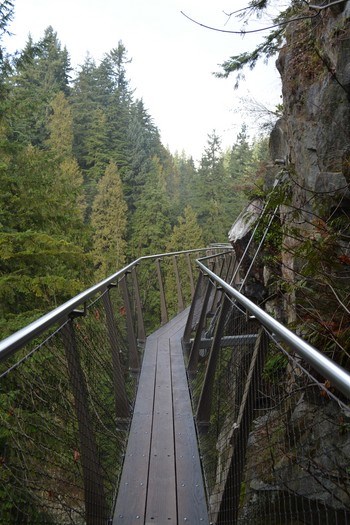 Suspension Bridge