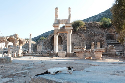 Efes