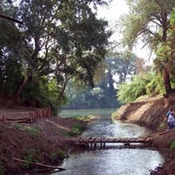 Torsanlorenzo Ödülü 2008