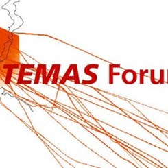 Temas Forum 3