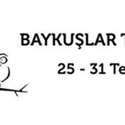 Baykuşlar Toplanıyor