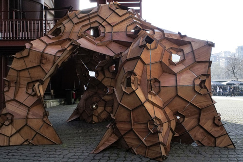 Carapace