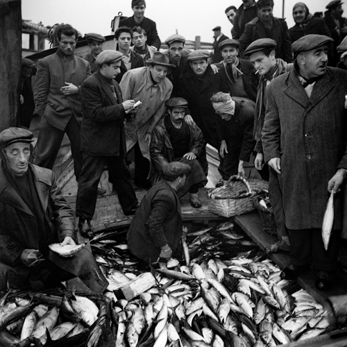 Ara Güler, Kumkapı Ermeni Balıkçıları ile Birlikte serisinden