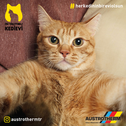Austrotherm ısı yalıtımlı kedi evi
