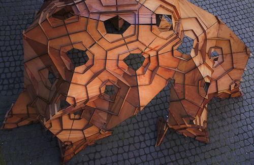 Carapace