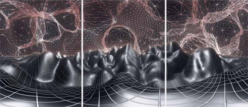 Morphogenesis
