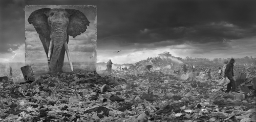 Nick Brandt