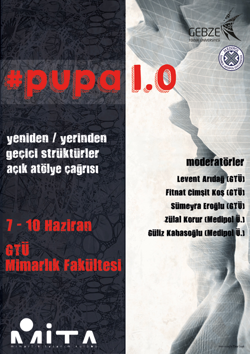 Pupa 1.0