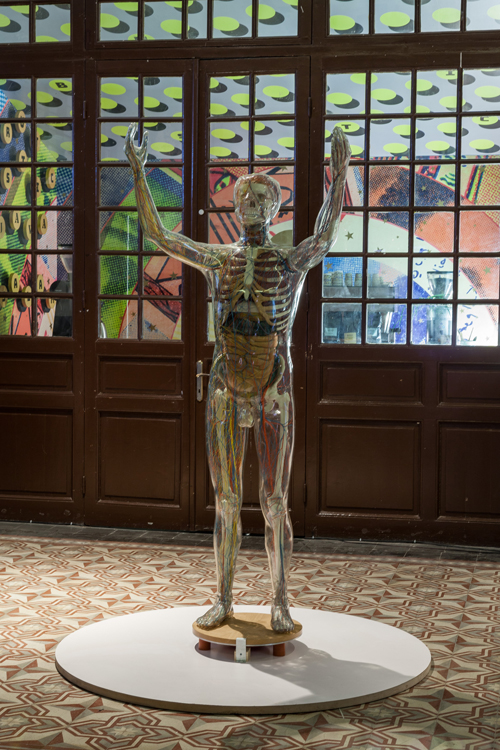 Cam Adam, Deutsches Hygiene-Museum
